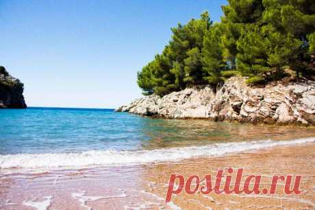 Momir Matkovic - Momir Matkovics Fotos | Facebook