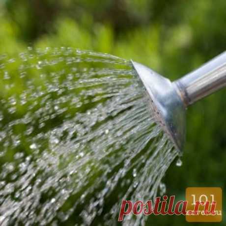 101 полезный совет на все случаи жизни для каждого - страница 5