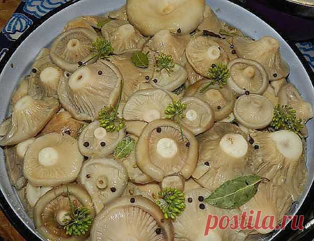 Грибы и грибные заготовки.