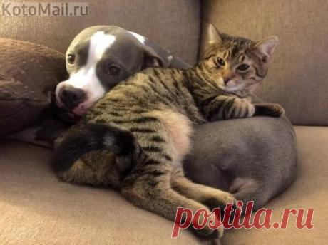 Мягкая подушечка