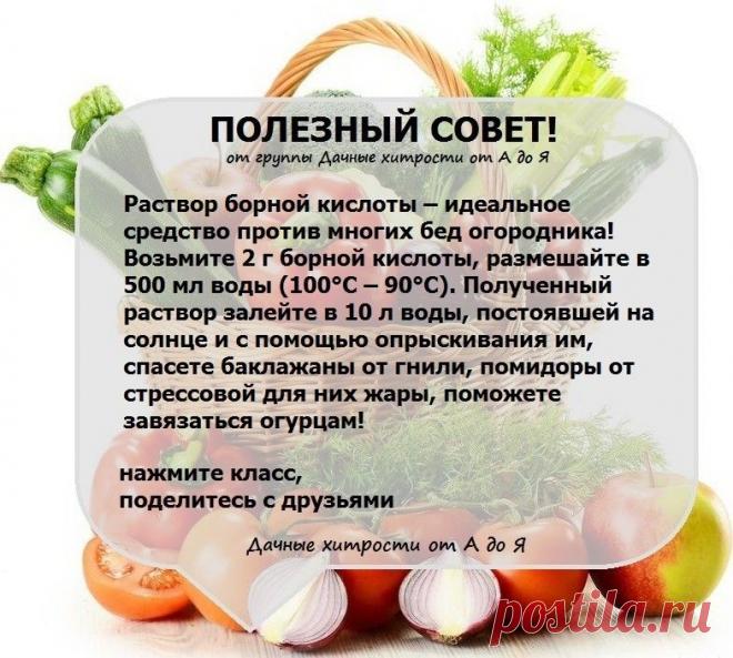 полезный совет