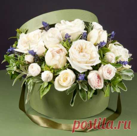 .белые розы