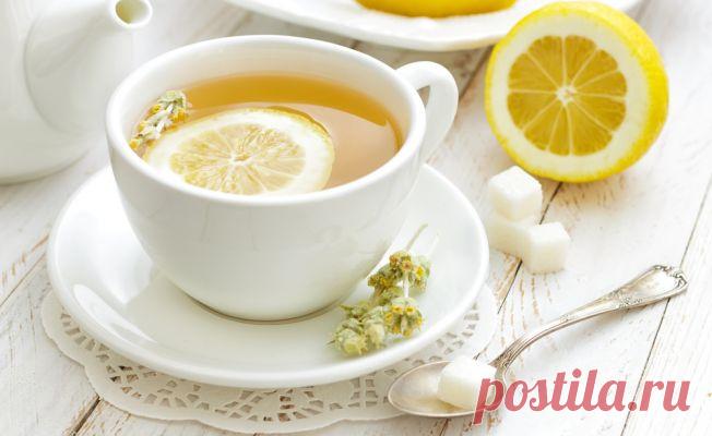 Полезные свойства чая | ВитаПортал - Здоровье и Медицина