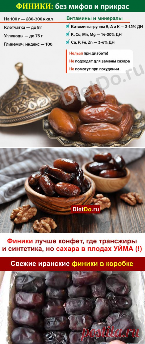 Финики: польза и вред для организма, как правильно выбирать