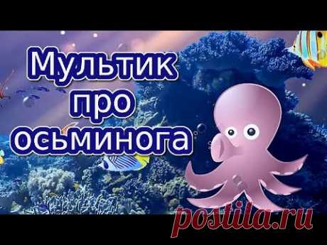 Мультик про осьминога | Мультики для детей - YouTube
