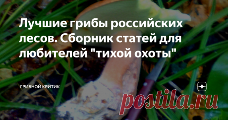 Лучшие грибы российских лесов. Сборник статей для любителей "тихой охоты" Предлагаю подписчикам, постоянным читателям, а также тем, кто сегодня впервые попал на странички моего канала подборку статей о грибах, которые растут в наших лесах.
Конец февраля... Ещё не скоро появятся строчки и сморчки, рядовки майские и другие весенние грибы. Хотя, кто знает, что опять погода учудит. Никто ведь и не предполагал, что зима у нас такая европейская будет. Может и весна придёт