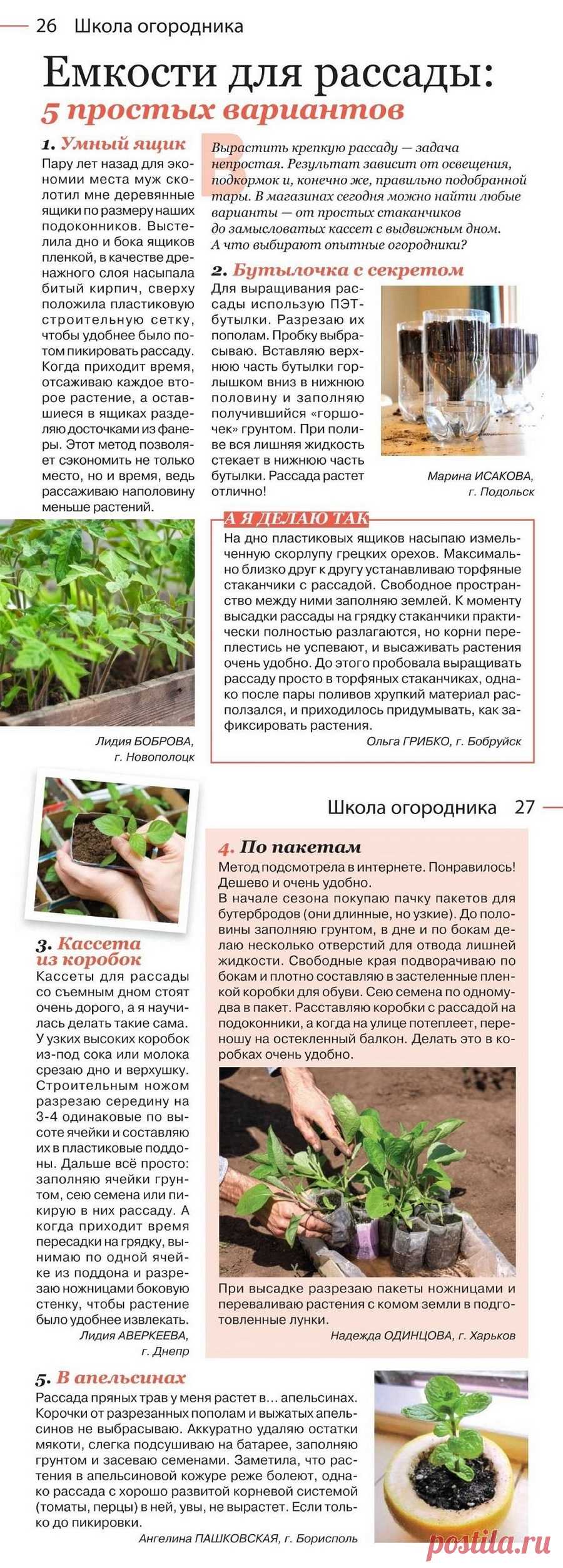 Емкости для рассады: 5 простых вариантов