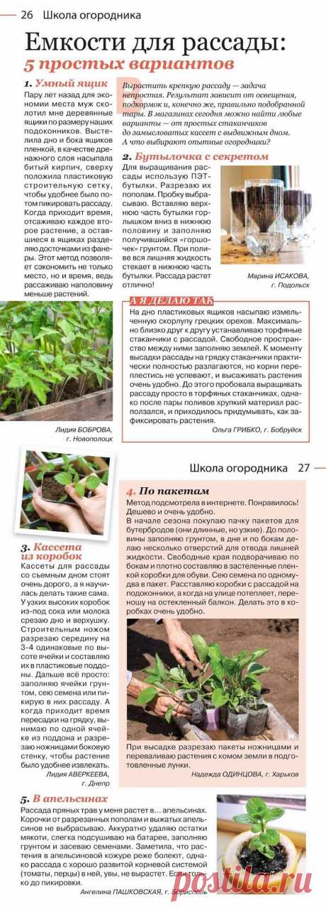 Емкости для рассады: 5 простых вариантов