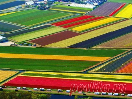 картинки сосницкого константина валерьевича - Поиск в Google