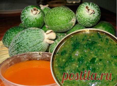 Рецепт: фейхоа с медом для лечения щитовидки.
Смесь фейхоа с медом – прекрасный состав для регионов, неблагополучных в плане содержания йода, то есть для большей части территории России. Доказана эффективность использования фейхоа с медом при заболеваниях щитовидной железы и сердечнососудистой системы, ларингитах, ангине, высокой возбудимости нервной системы, а также для профилактики этих заболеваний.
Дефицит йода оказывает крайне отрицательное воздействие на весь организм...