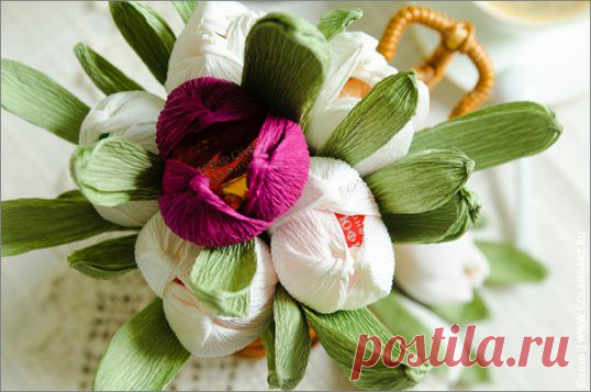 Как сделать цветы из конфет и гофрированной бумаги :: Hand-made :: KakProsto.ru: как просто сделать всё