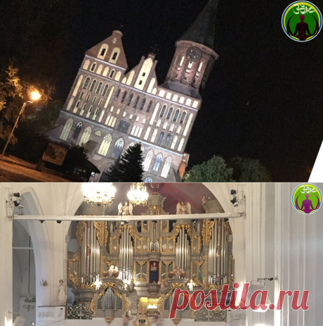 Удивительные места. Остров Канта и кафедральный собор г. Калининград | ЗОЖ путь изнутри вовне | Яндекс Дзен