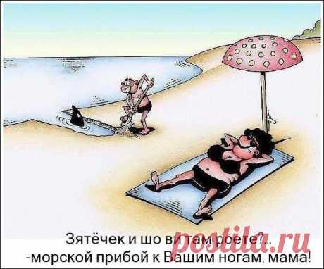 А вот и пятница.... Улыбнемся))) 

Приходит теща к молодым. Смотрит на газовую плиту и говорит: — Вот моя доченька какая чистюля! Плита аж блестит! Зять: — Да, мама, есть такая мудрость: чисто не там где убирают, а там где не гадят! …