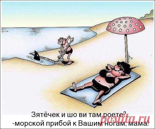 А вот и пятница.... Улыбнемся))) 

Приходит теща к молодым. Смотрит на газовую плиту и говорит: — Вот моя доченька какая чистюля! Плита аж блестит! Зять: — Да, мама, есть такая мудрость: чисто не там где убирают, а там где не гадят! …