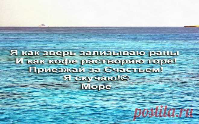 Почему океаны и моря соленые (3 гипотезы) | Мир+ | Яндекс Дзен