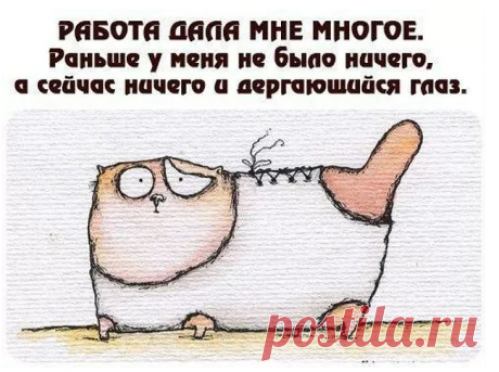 Прикольные картинки | veselyy-mozg