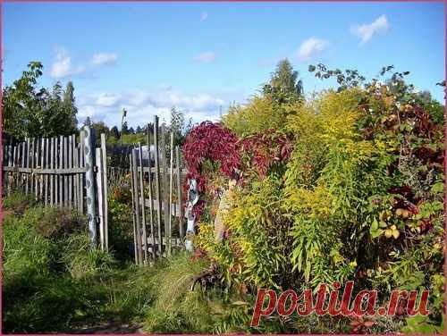 Работы в саду в сентябре | Загородный Дизайн: идеи и советы для дома и дачи