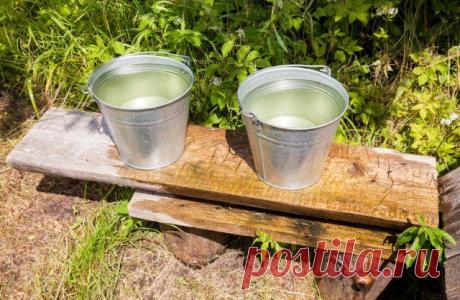 Как поливать плодовые деревья осенью – секреты влагозарядного полива | Уход за садом (Огород.ru)