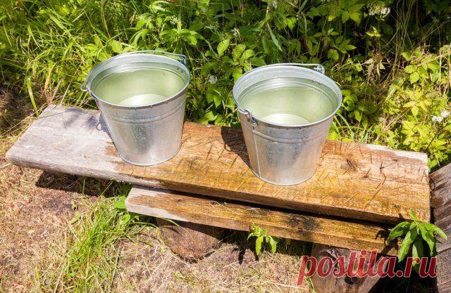 Как поливать плодовые деревья осенью – секреты влагозарядного полива | Уход за садом (Огород.ru)