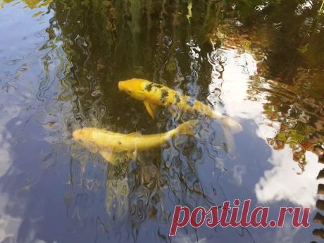 Парк Ротшильда