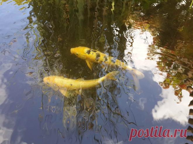 Парк Ротшильда