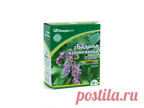 Корень бадана от миомы матки