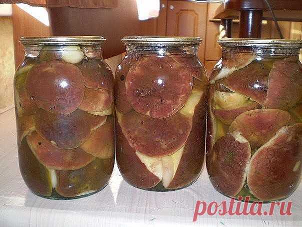 МАРИНУЕМ БЕЛЫЕ ГРИБЫ

Белые маринованные грибочки - пальчики оближешь!