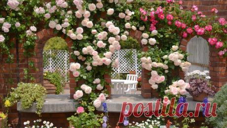 Ежедневная подборка обоев на рабочий стол (15 фото)