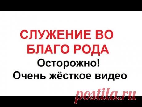 СЛУЖЕНИЕ ВО БЛАГО РОДУ. ОСТОРОЖНО, очень жёсткое видео.
