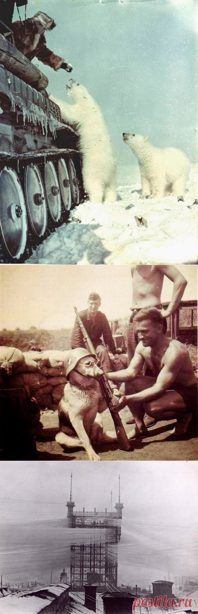 26 чумовых исторических фактов. Многие фото вижу в первый раз