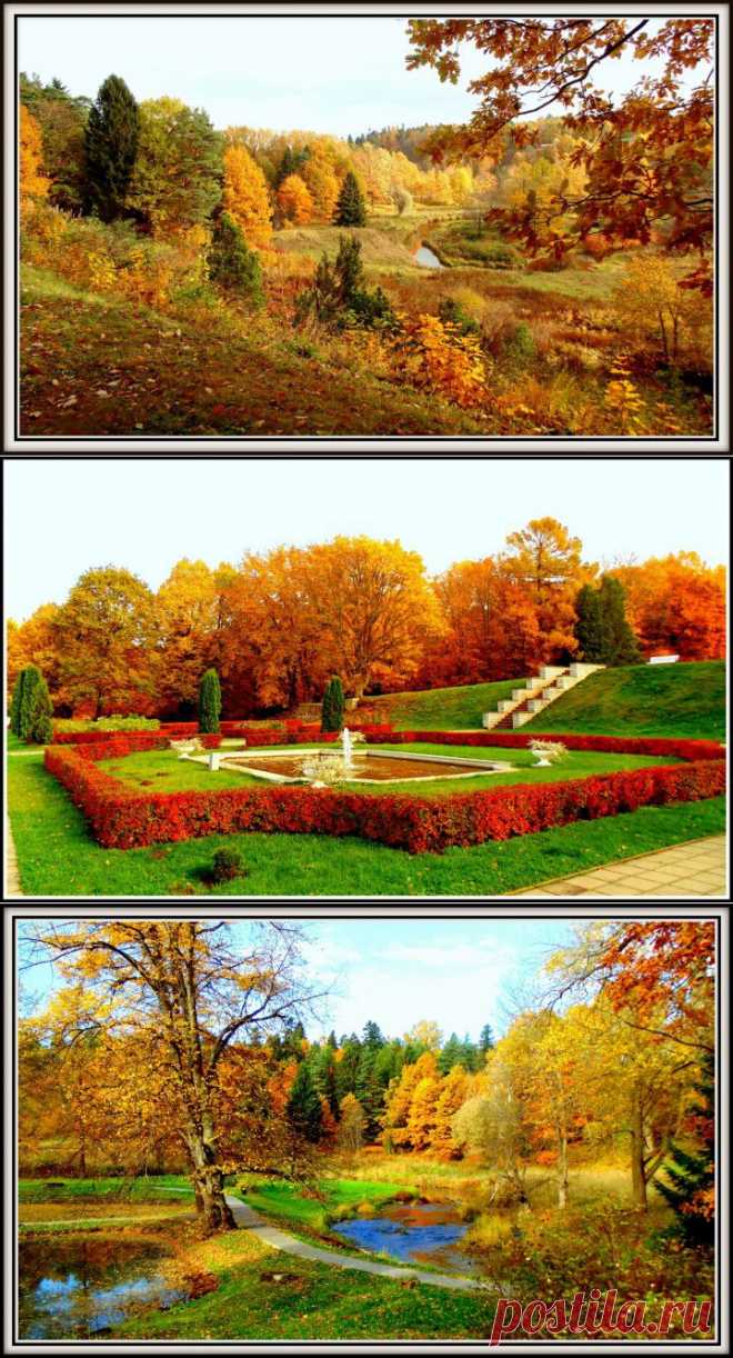 Осень в Тойла Ору. Эстония | Фотоискусство