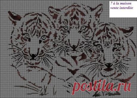 Gallery.ru / Фото #20 - Дикие животные (схемы) - Olgakam