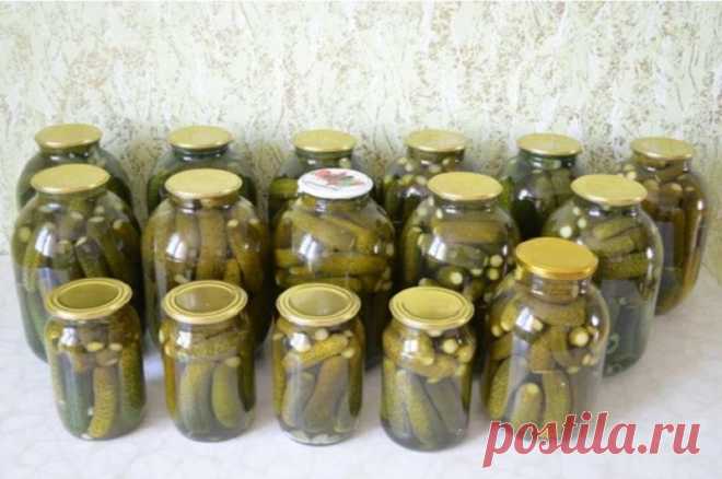 Самые вкусные, хрустящие и сочные огурцы на зиму «Тетя Галя» - Вкусные рецепты - медиаплатформа МирТесен