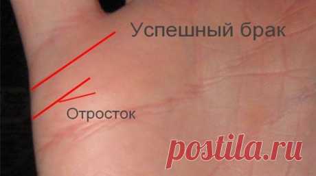 Успещный брак у вас на руке