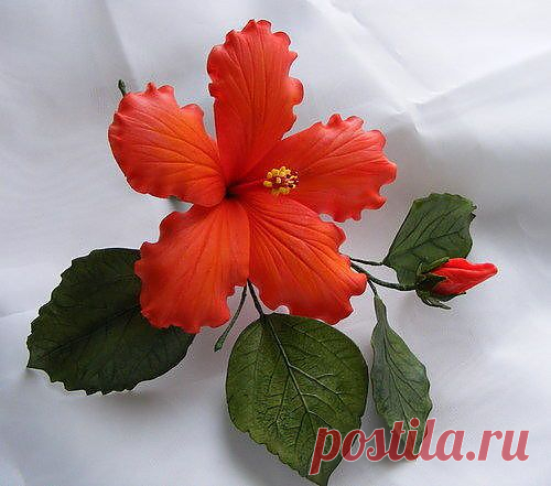Гибискус - лепка из холодного фарфора.