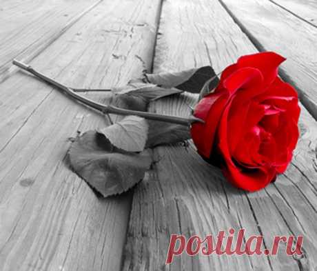 В мечте моей, число нас четное...
Весь мир по парам разделен...
И в нем монетою расчетною...
Положен смех, не боли стон...