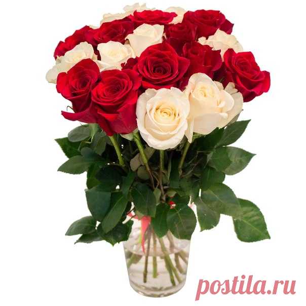 Поздравляем с Днём рождения всех, кто родился сегодня - 11 АПРЕЛЯ!😘😘😘