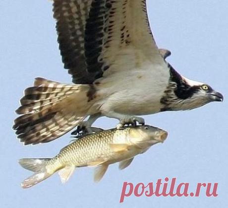 Курс на север)))