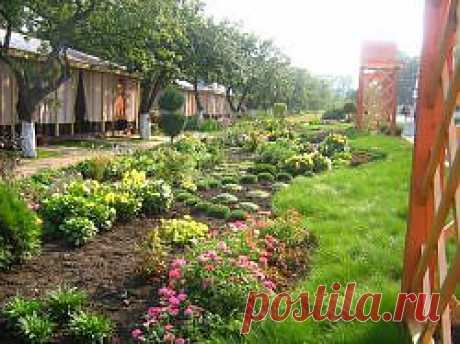 Полезные советы садоводу.