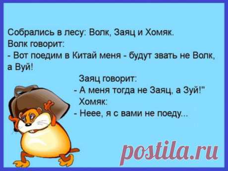 Журналисты берут интервью у девочки, победившей на областной олимпиаде по химии... 
Заходят в кафе 5 человек: американец, француз, русский,китаец и еврей. Заказали чай в каждом стакане плавала муха. Американец выплеснул чай в лицо официанту,француз вежливо попросил заменить,русский …