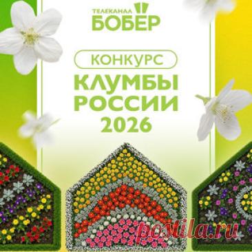 #Конкурс « #Клумбы России»: #призы - #диплом, #сувениры и #подарки