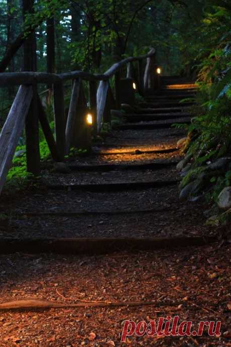Enjoy today.. - bonitavista: Redwoods, California photo via...