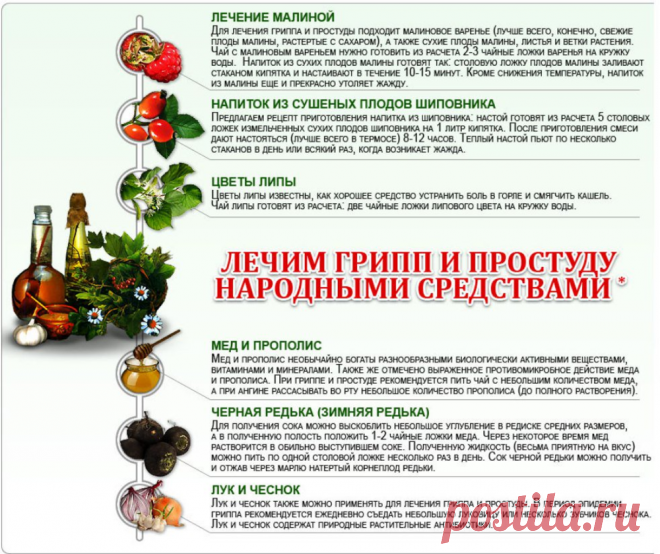 Лечим грипп и простуду народными средствами