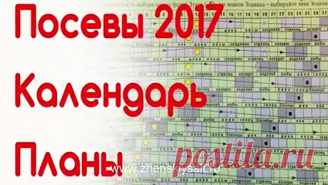 Какие ОВОЩИ сеют в ФЕВРАЛЕ