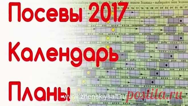 Какие ОВОЩИ сеют в ФЕВРАЛЕ