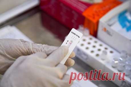 В Роспотребнадзоре оценили вероятность исчезновения дельта-штамма коронавируса. На омикрон-штамм коронавируса приходится более 99 процентов случаев заражения коронавирусом в России, рассказала руководитель научной группы генной инженерии и биотехнологии ЦНИИ эпидемиологии Роспотребнадзора Анна Черкашина. Эксперт также оценила вероятность полного исчезновения дельта-штамма вируса.