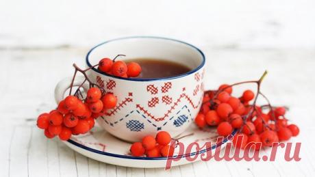 НАПИТКИ ДОЛГОЛЕТИЯ СО ВСЕГО МИРА 

• ЧАЙ ВИКИНГОВ 
Смешайте в равных частях сухие плоды шиповника с измельченной сухой крапивой и травой спорыш. 
Столовую ложку смеси залейте стаканом кипятка и настаивайте 3 часа. Затем выпейте залпом. 
Этот напиток нужно пить утром и днем вместо чая. Он придает бодрости и повышает настроение. 

• РЯБИНОВЫЙ ЧАЙ 
Этот напиток ценится из-за его омолаживающего свойства. Смешайте в равных частях сушенные плоды красной рябины и шиповника, измел...