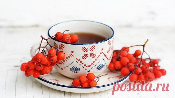 НАПИТКИ ДОЛГОЛЕТИЯ СО ВСЕГО МИРА 

• ЧАЙ ВИКИНГОВ 
Смешайте в равных частях сухие плоды шиповника с измельченной сухой крапивой и травой спорыш. 
Столовую ложку смеси залейте стаканом кипятка и настаивайте 3 часа. Затем выпейте залпом. 
Этот напиток нужно пить утром и днем вместо чая. Он придает бодрости и повышает настроение. 

• РЯБИНОВЫЙ ЧАЙ 
Этот напиток ценится из-за его омолаживающего свойства. Смешайте в равных частях сушенные плоды красной рябины и шиповника, измел...