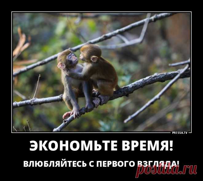 Демотиваторы 10-12-2018 79225 #10 . Чёрт побери