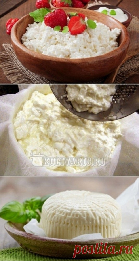 Домашний творог ⋆ Кулинарная страничка